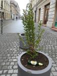Imagine atasata: Reabilitare centru - 2015.12.26- 139.jpg